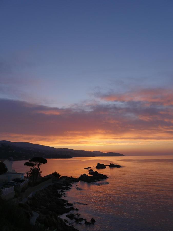 A1 La Plage D'Or Le Lavandou Kültér fotó